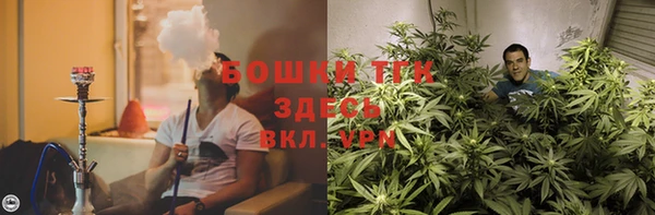 сатива Абдулино