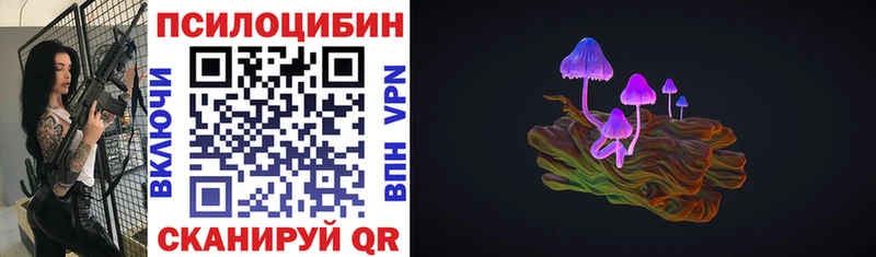 Псилоцибиновые грибы Psilocybine cubensis  Урень 