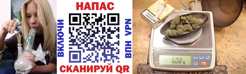 Канабис сатива  Урень 